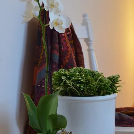 Coco Appartement Sarajevo